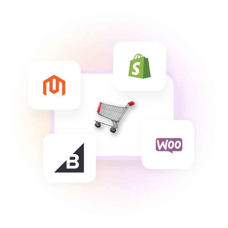 Ecommerce Platform Migration